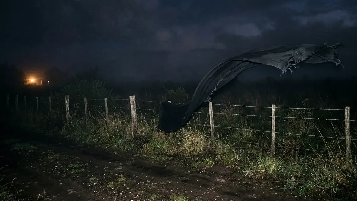 Tela negra larga enganchada en un alambrado al borde de un camino de tierra de noche